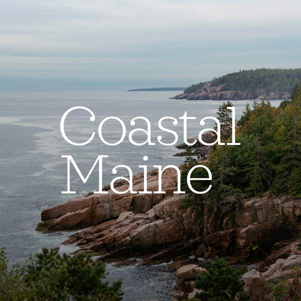 Pink rocks on the shores of Acadia National Park