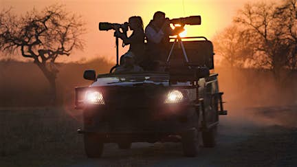 Private safaris