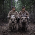 Two young boys dressed up in bear costumes