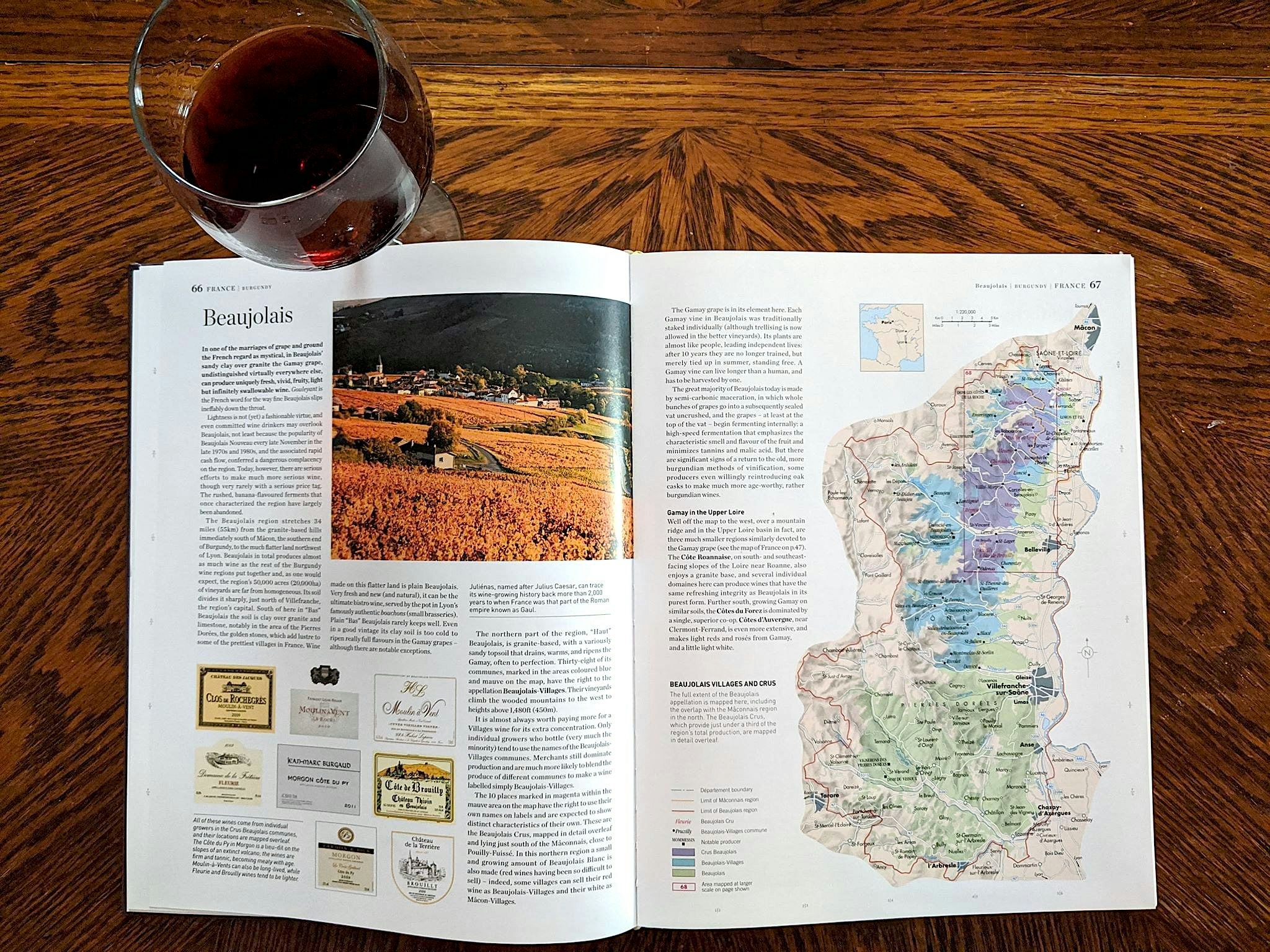 A glass of red wine sits on a oak table next to an open wine atlas