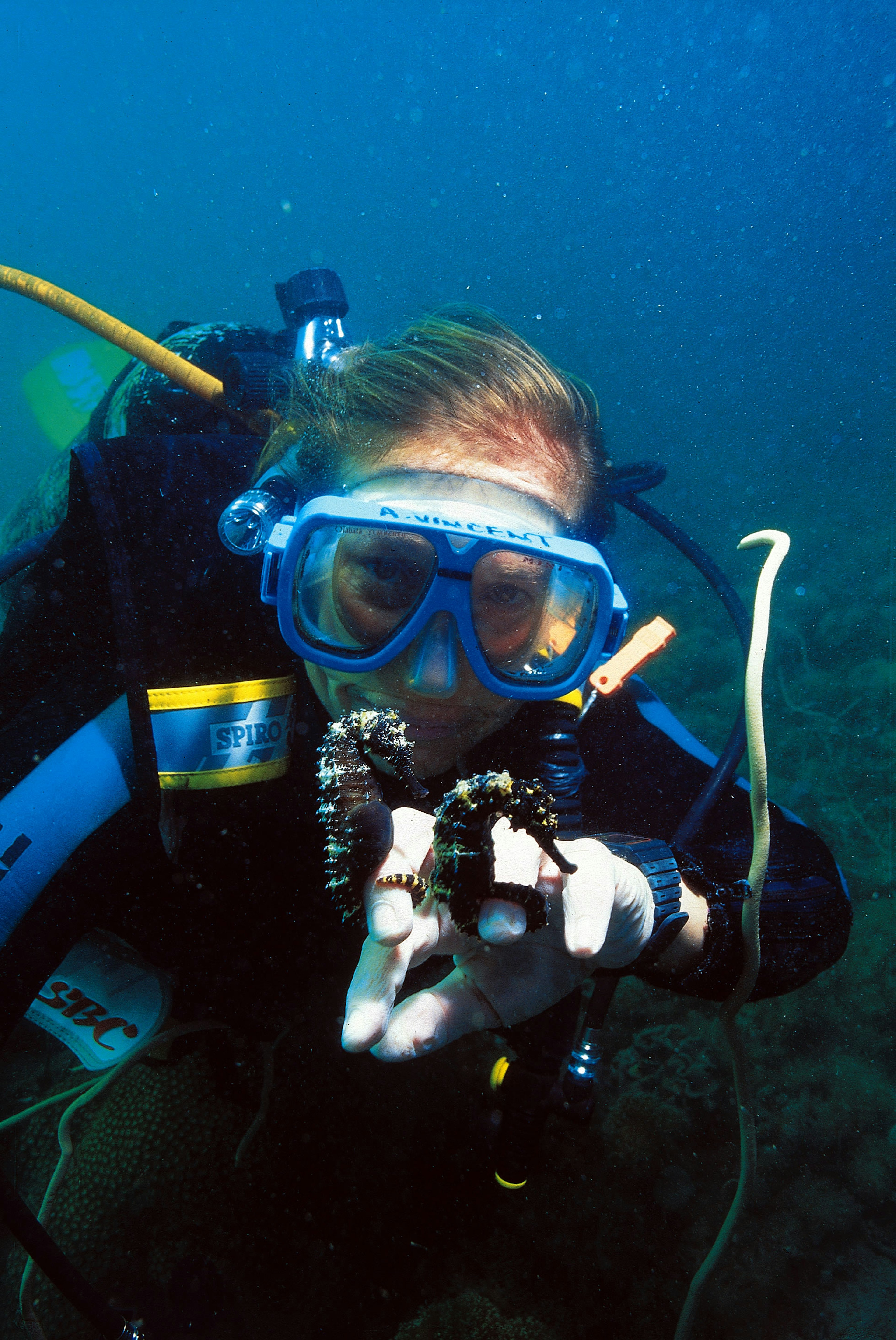 Amanda Vincent with Seahorses_Project Seahorse.jpg