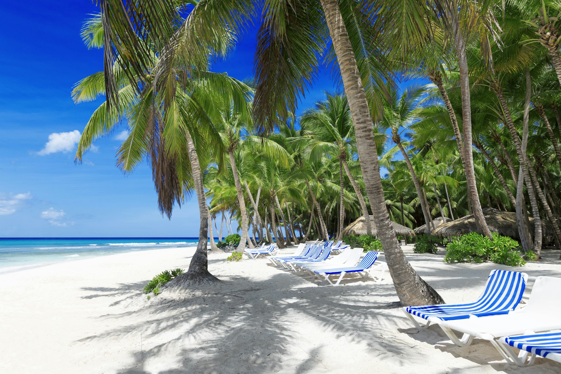 Beach on a tropical Fiji island. Clear blue water, sand and palm trees. Beautiful vacation spot, treatment and aquatics