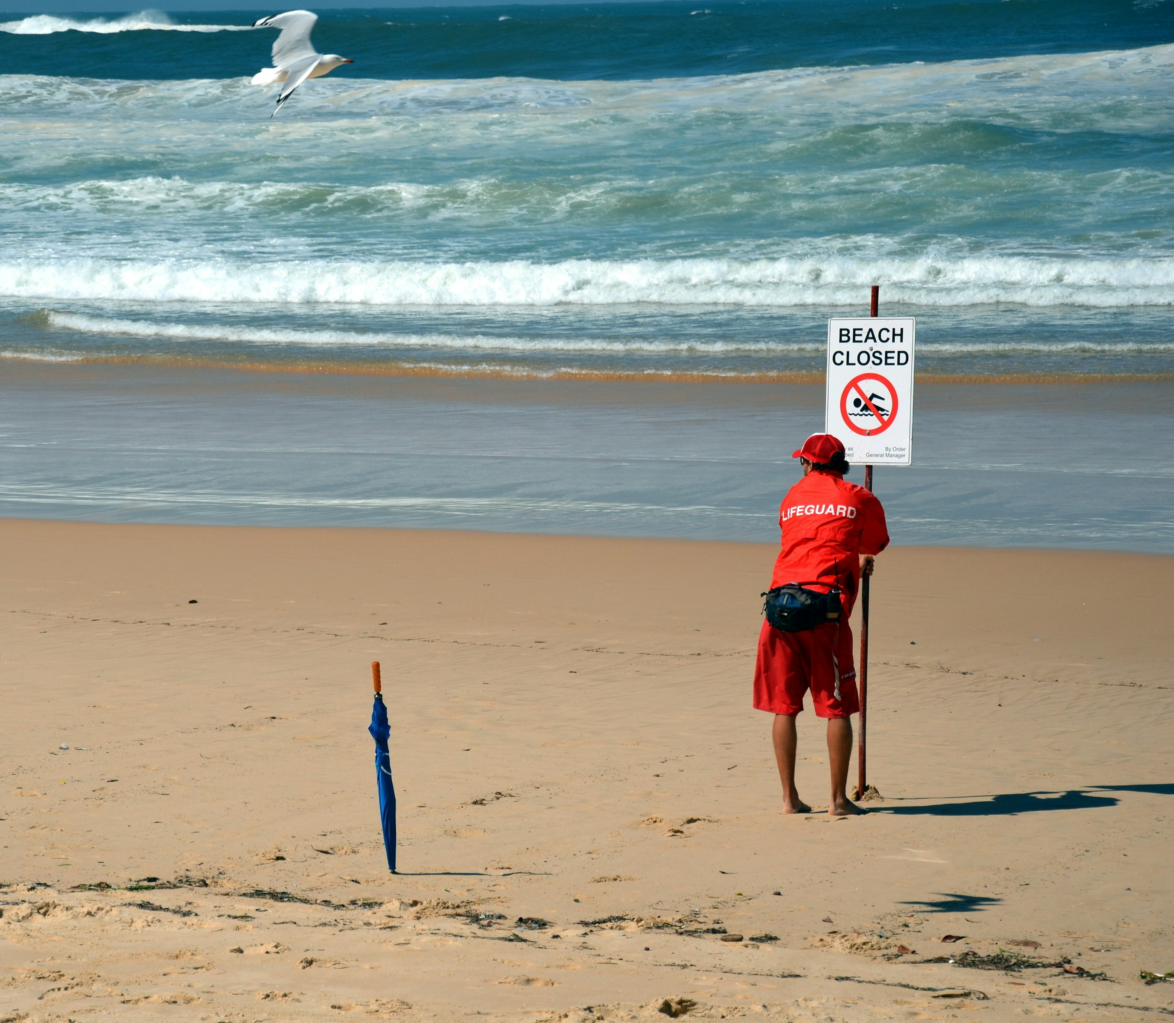 An empty beach. A lifeguard in red uniform places a sign that reads