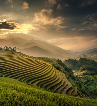 Terraced Fields of Mù Cang Chải
