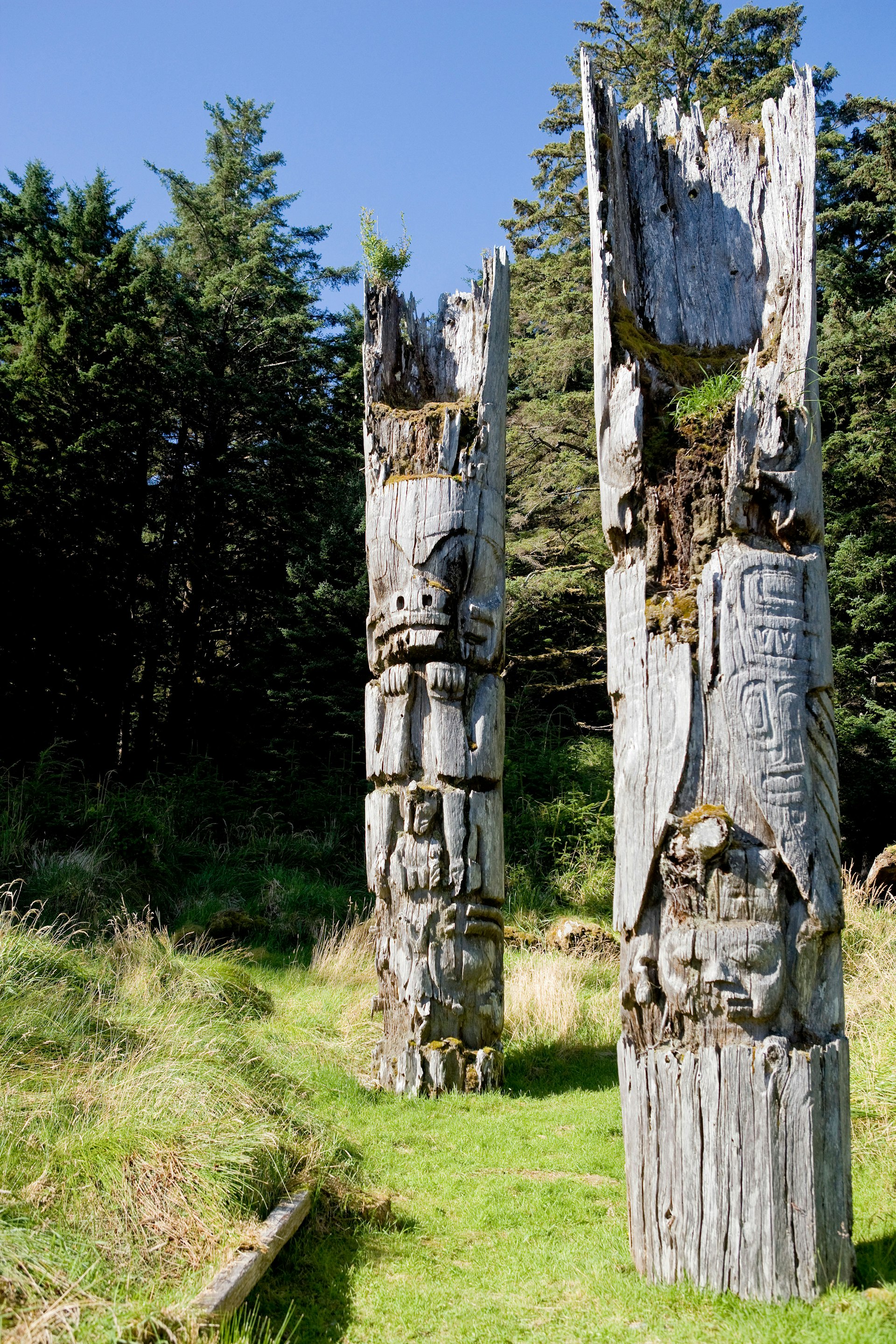 Decaying Haida mortuary poles.