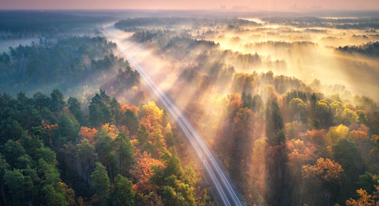 Aerial view of beautiful railroad in autumn forest in foggy sunrise. Industrial landscape with railway station, sky, trees with orange leaves, fog and sun rays. Top view of rural railroad and sunbeams
