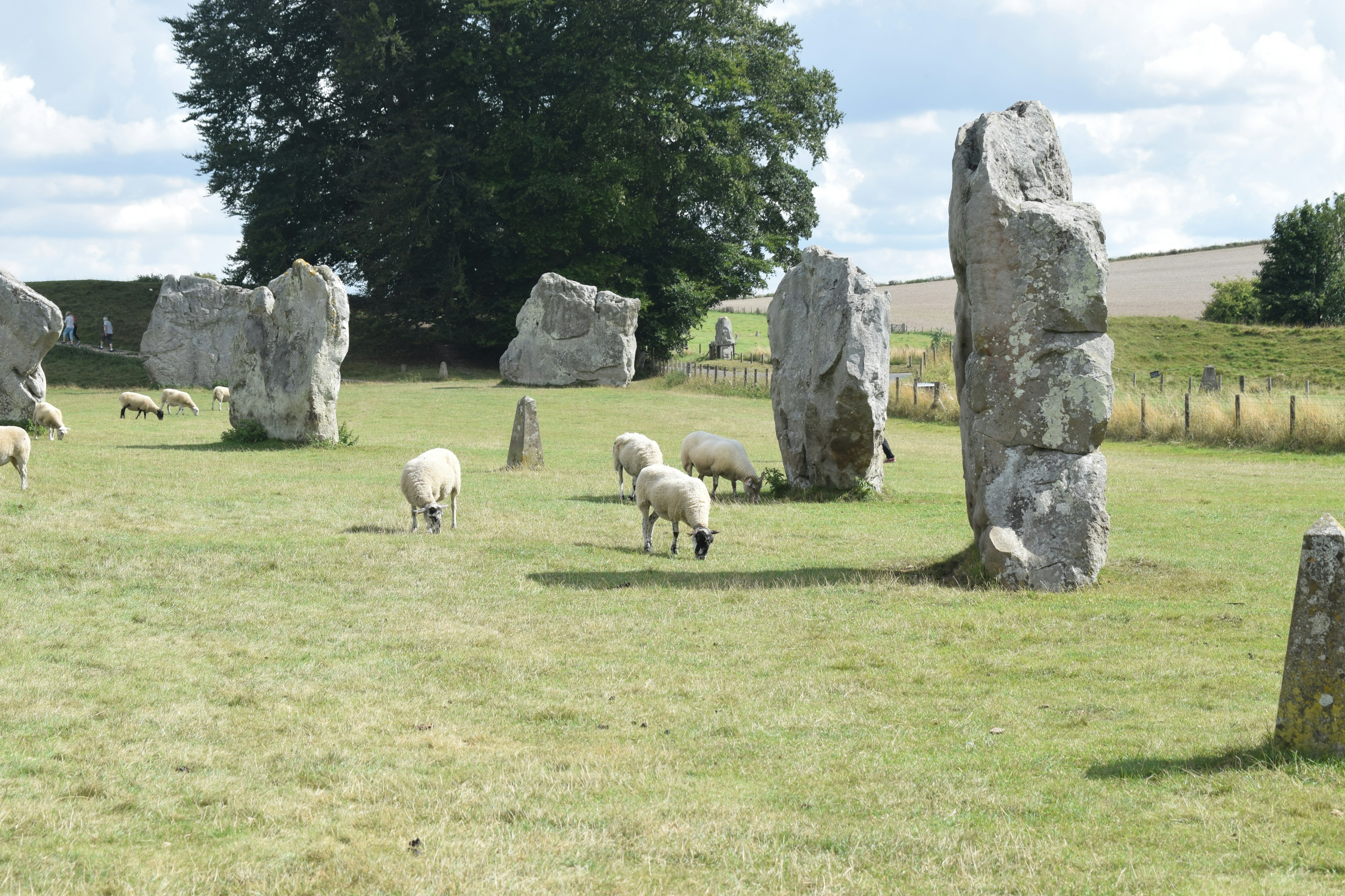 A large freestanding grey stone on a green, with a sheep eating grass nearby