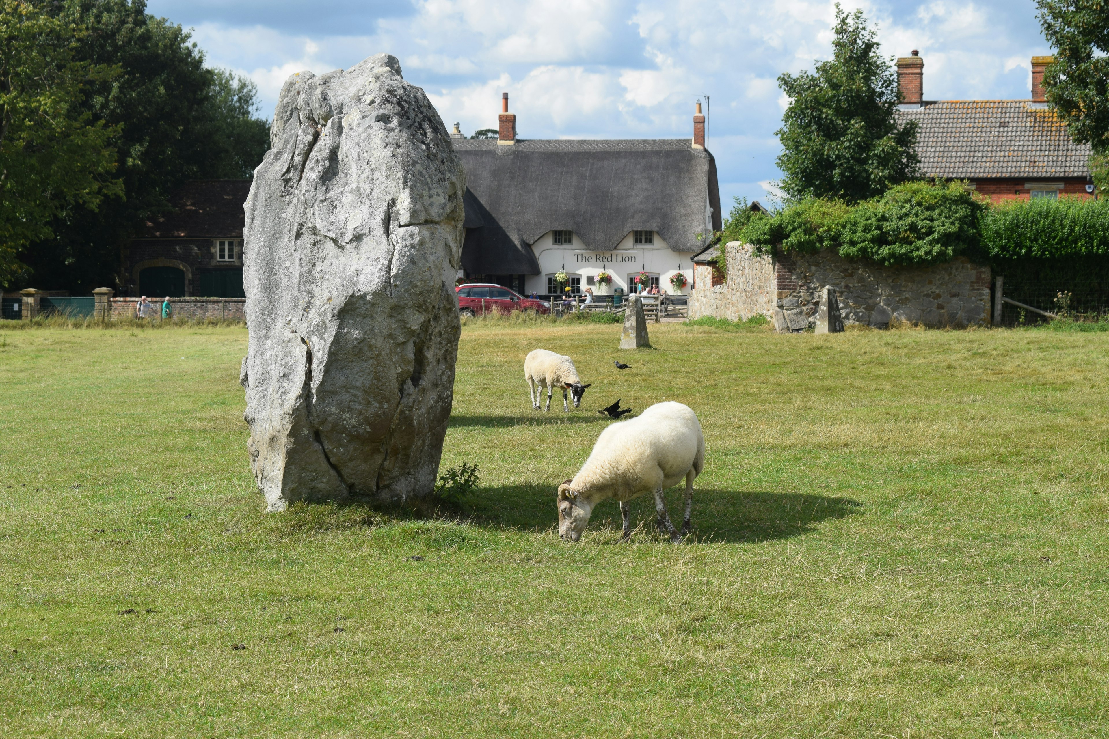 Avebury sheep and the Red Lion.JPG