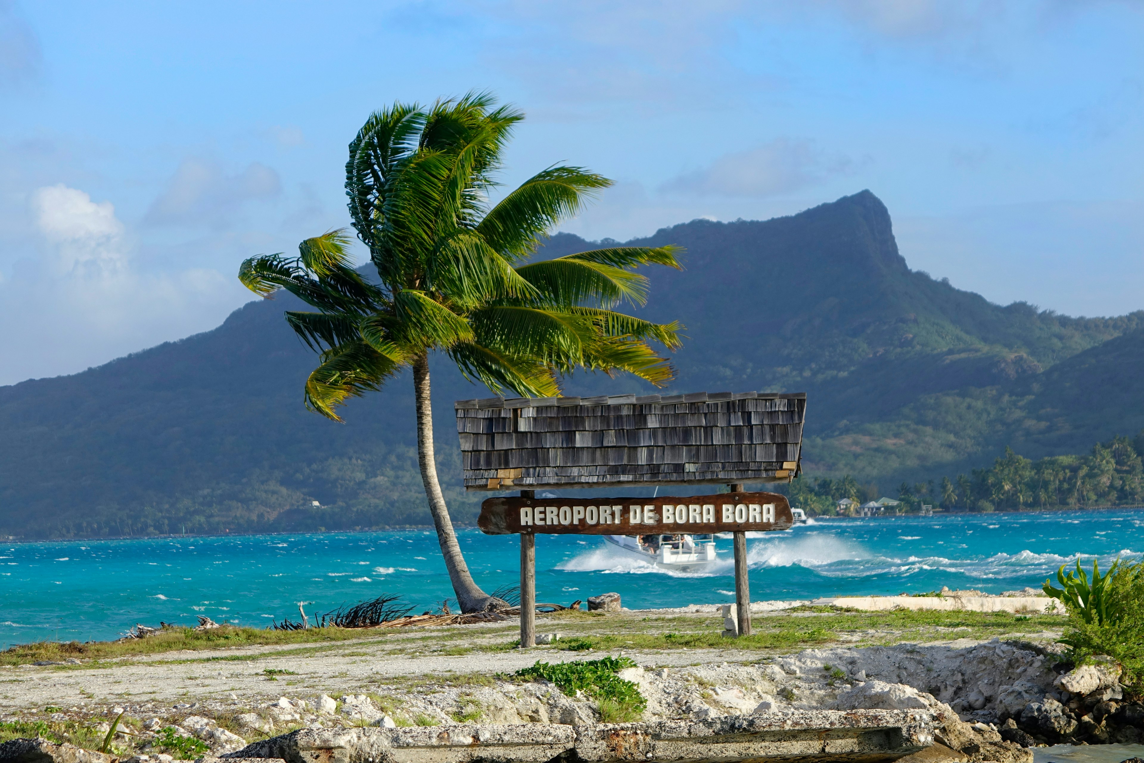 Strong summer wind blows past a lonely palm tree by an airport sign in Bora Bora.