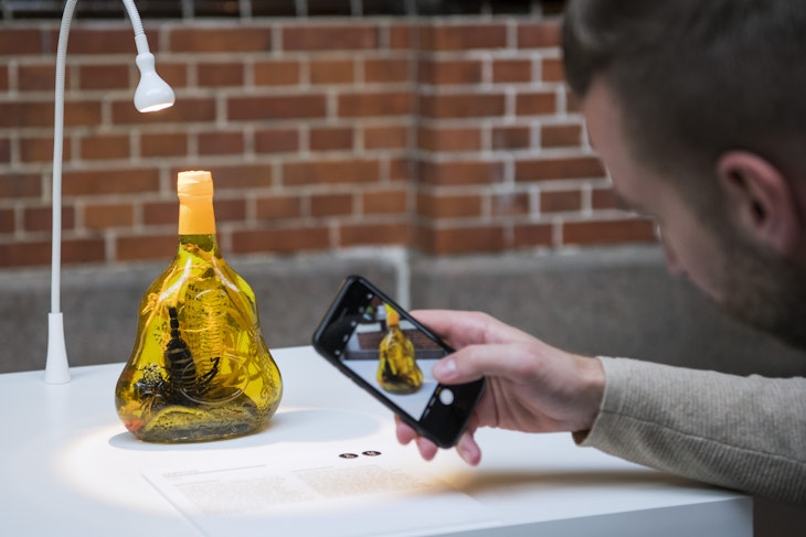 A man takes pictures of a "Habushu" snake wine from Japan presented at the Disgusting Food Museum on November 7, 2018 in Malmo, Sweden. - The exhibit has 80 of the worlds most disgusting foods where adventurous visitors get the opportunity to smell and taste some of these notorious foods. (Photo by Jonathan NACKSTRAND / AFP) / TO GO WITH AFP STORY BY CAMILLE BAS-WOHLERT        (Photo credit should read JONATHAN NACKSTRAND/AFP via Getty Images)