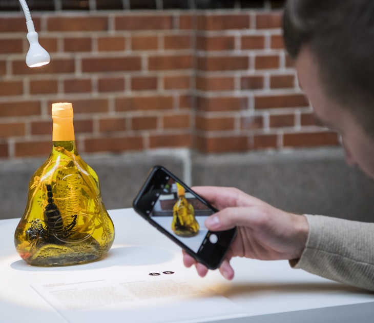 A man takes pictures of a "Habushu" snake wine from Japan presented at the Disgusting Food Museum on November 7, 2018 in Malmo, Sweden. - The exhibit has 80 of the worlds most disgusting foods where adventurous visitors get the opportunity to smell and taste some of these notorious foods. (Photo by Jonathan NACKSTRAND / AFP) / TO GO WITH AFP STORY BY CAMILLE BAS-WOHLERT        (Photo credit should read JONATHAN NACKSTRAND/AFP via Getty Images)