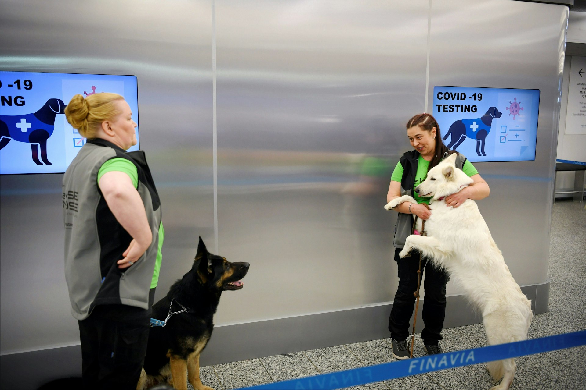 The coronavirus sniffer dogs named Valo (L) and E.T. stand by their trainers at the Helsinki airport in Vantaa, 