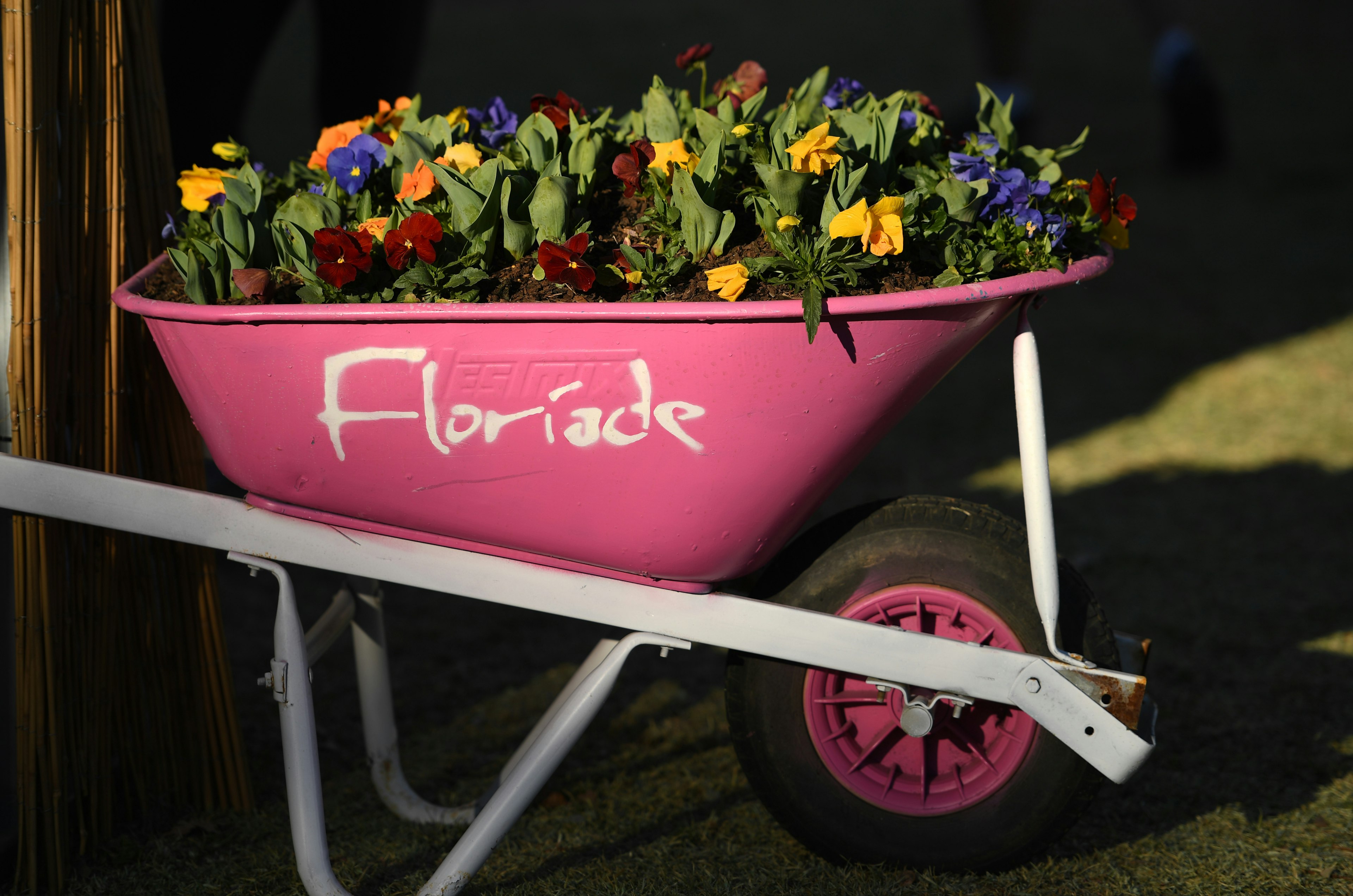 Crowds Enjoy Floriade 2019