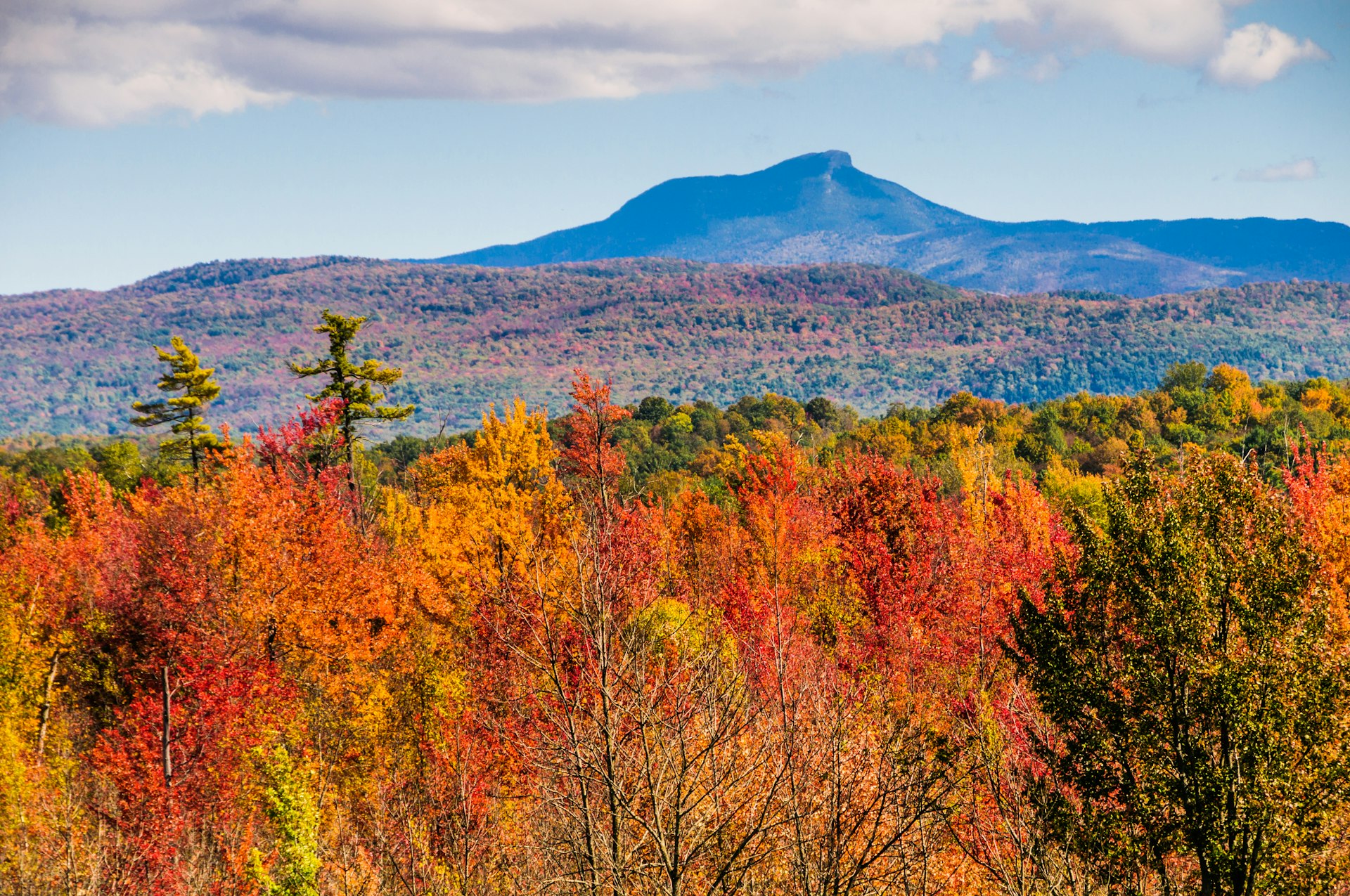 Trees filled with vibrant shades of orange and yellow leaves stretch towards Camel's Hump Mountain in Vermont. There are clouds above the mountain. 