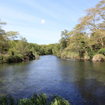 Mzima Springs, Tsavo West National Park, Kenya.