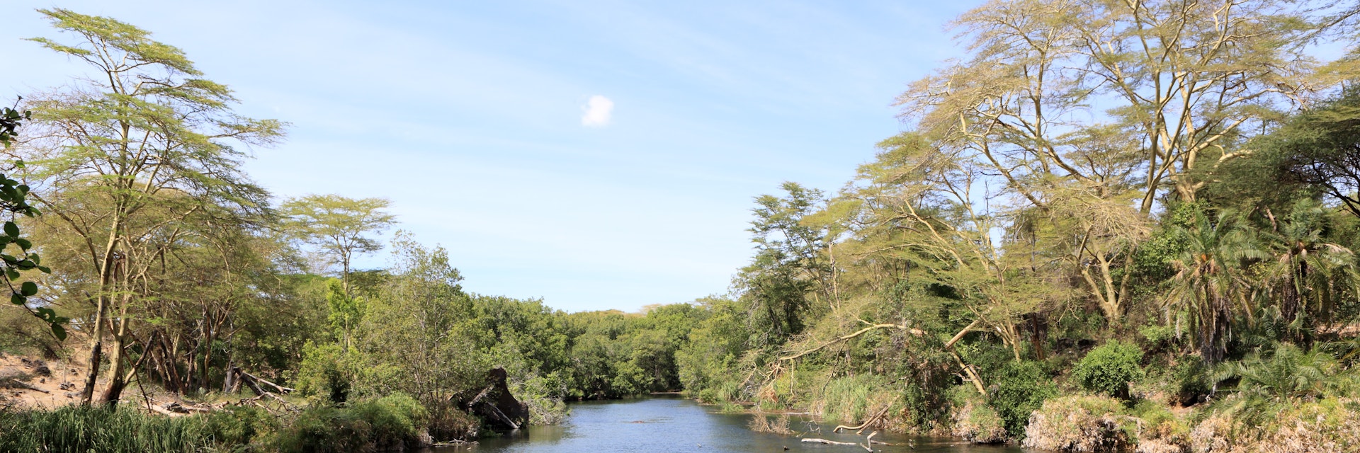 Mzima Springs, Tsavo West National Park, Kenya.