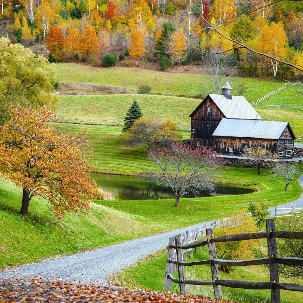 Fall foliage, New England countryside at Woodstock, Vermont, farm in autumn landscape. Old wooden barn surrounded by colorful trees.