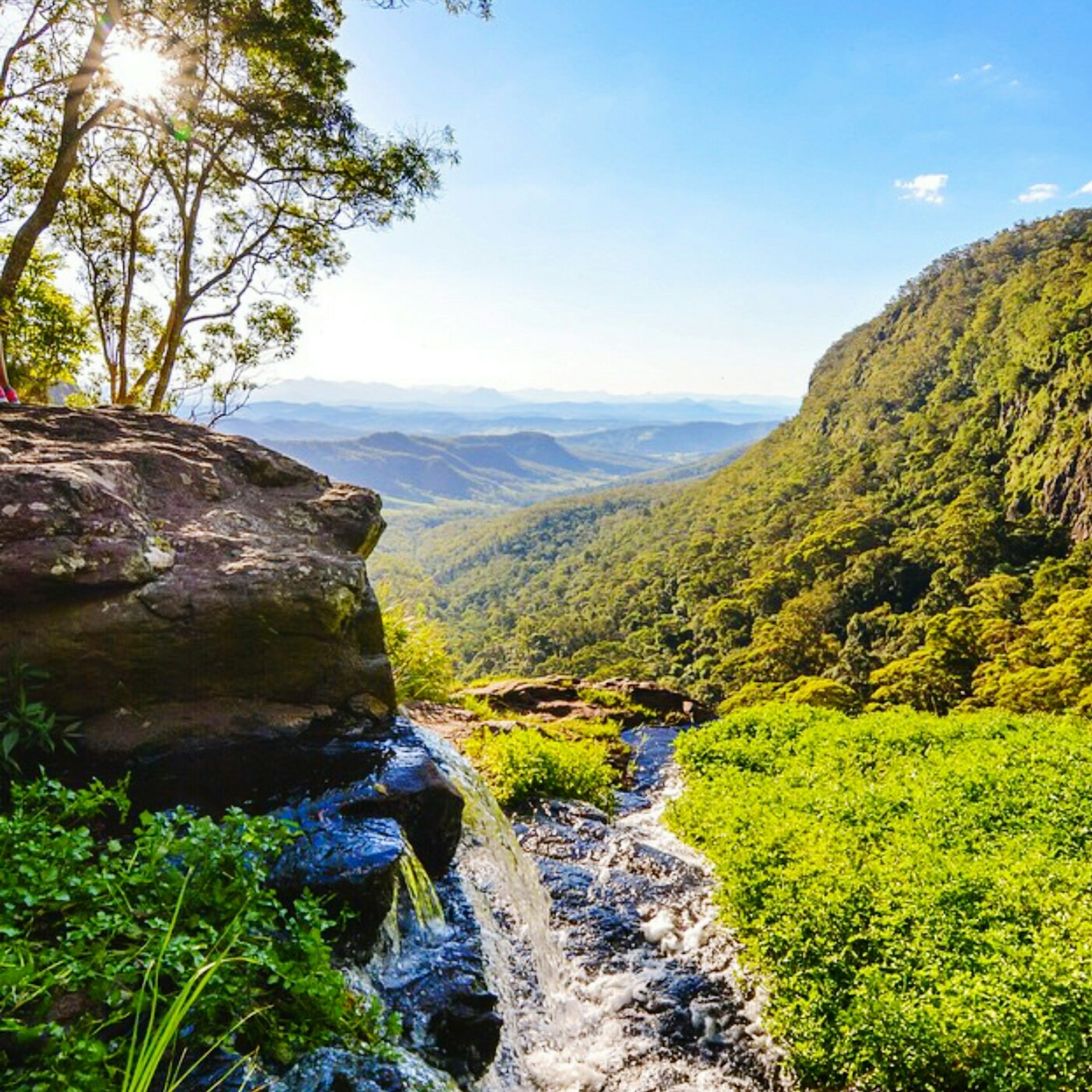 Waterfall at the green and lush Lamington National Park