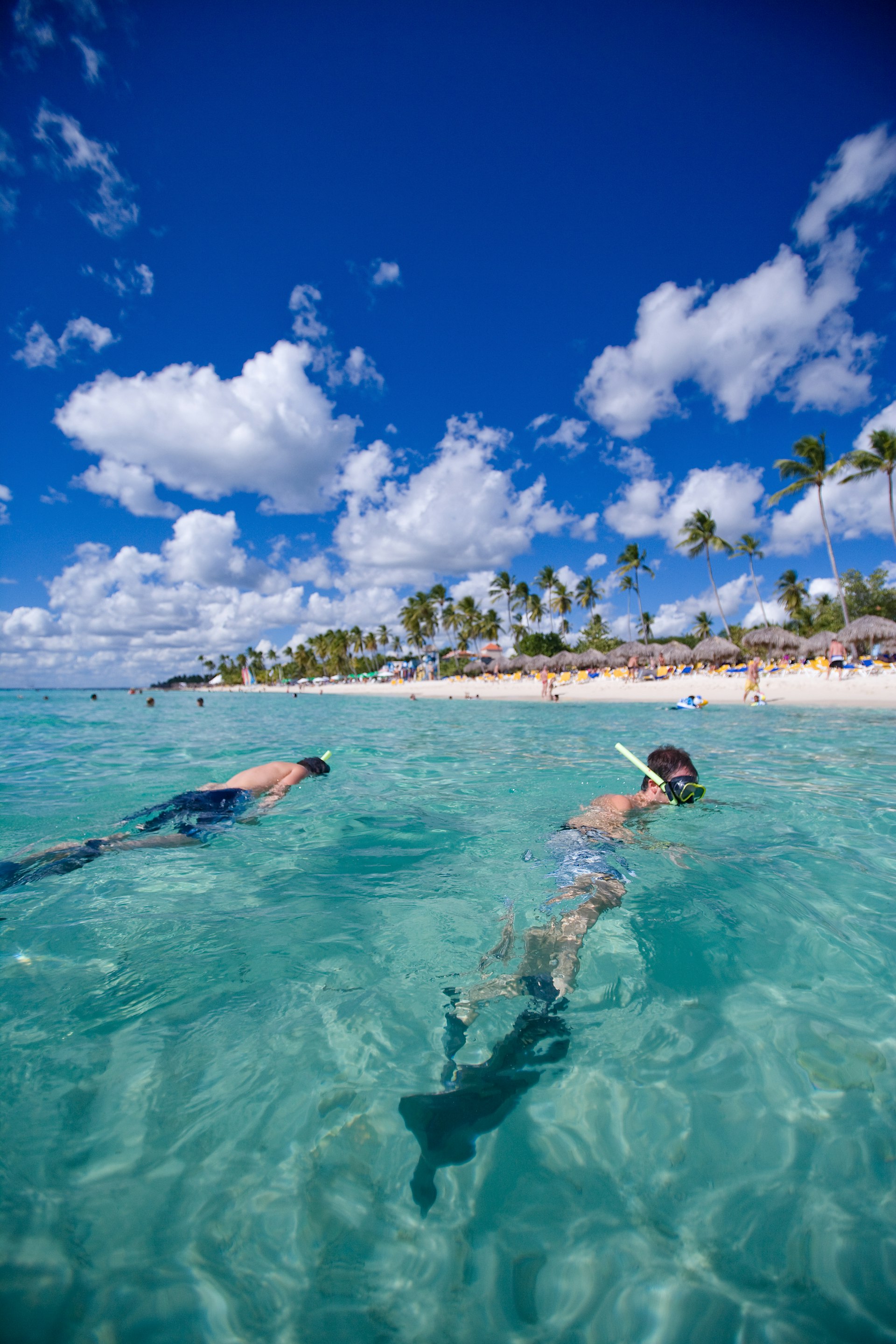 Two men snorkeling off tropical beach, Dominican Republic
