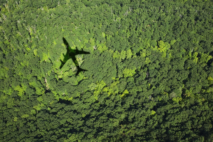 Shadow of an airplane over green forest.
