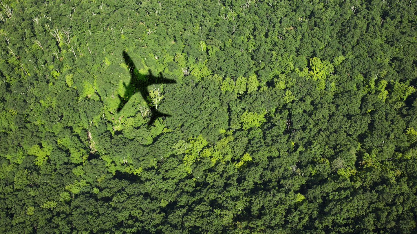 Shadow of an airplane over green forest.