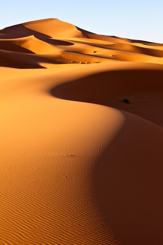On the top of the flattest area you could imagine, suddenly a long mountain of sand rises. The Erg Chebbi dunes of wind-blown sand near the little town of Merzouga are renowned for their great height and size.