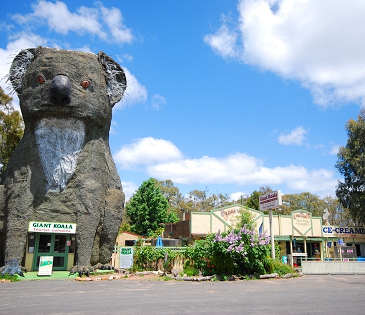 Giant Koala - Australia.jpg