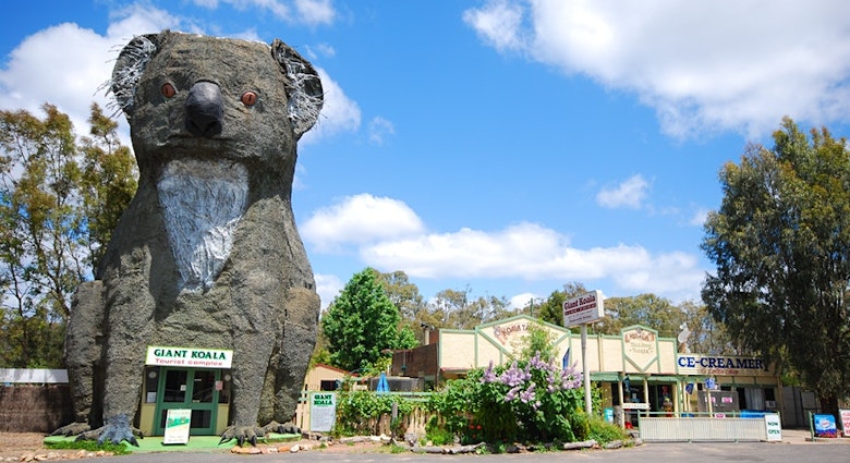 Giant Koala - Australia.jpg