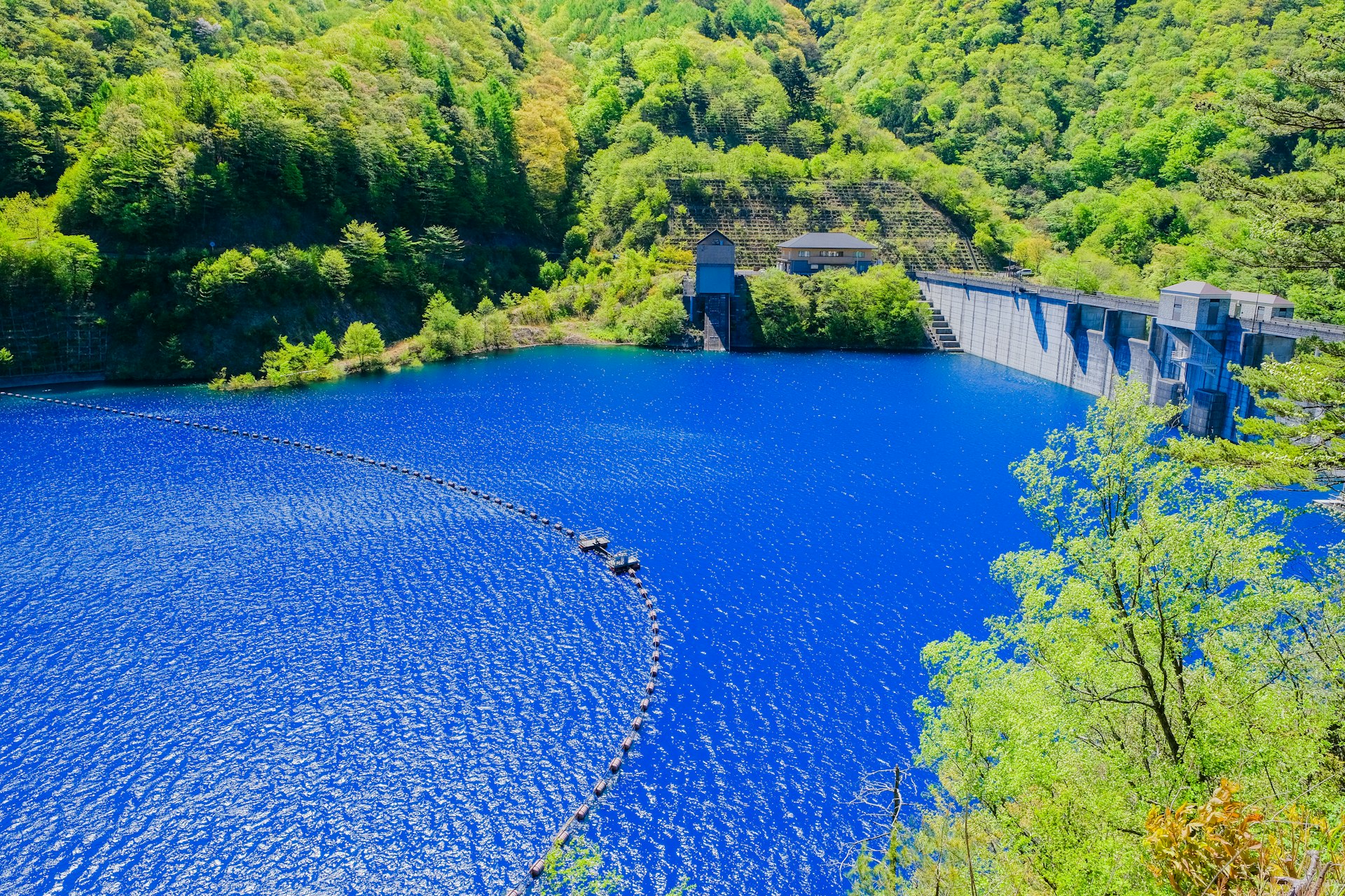 Strikingly vivid water stands out against lush vegetation at the lip of a dam