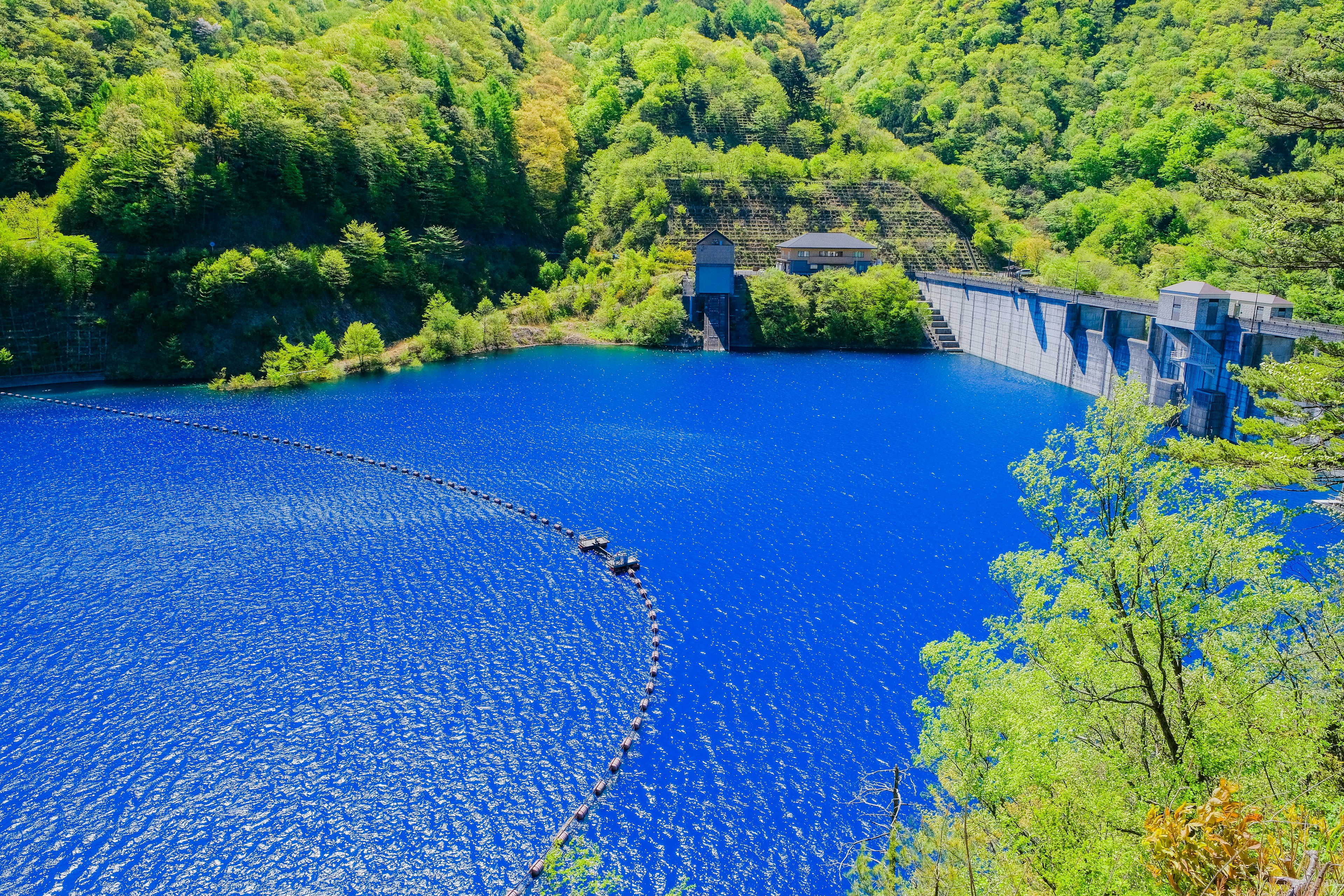 Strikingly vivid water stands out against lush vegetation at the lip of a dam