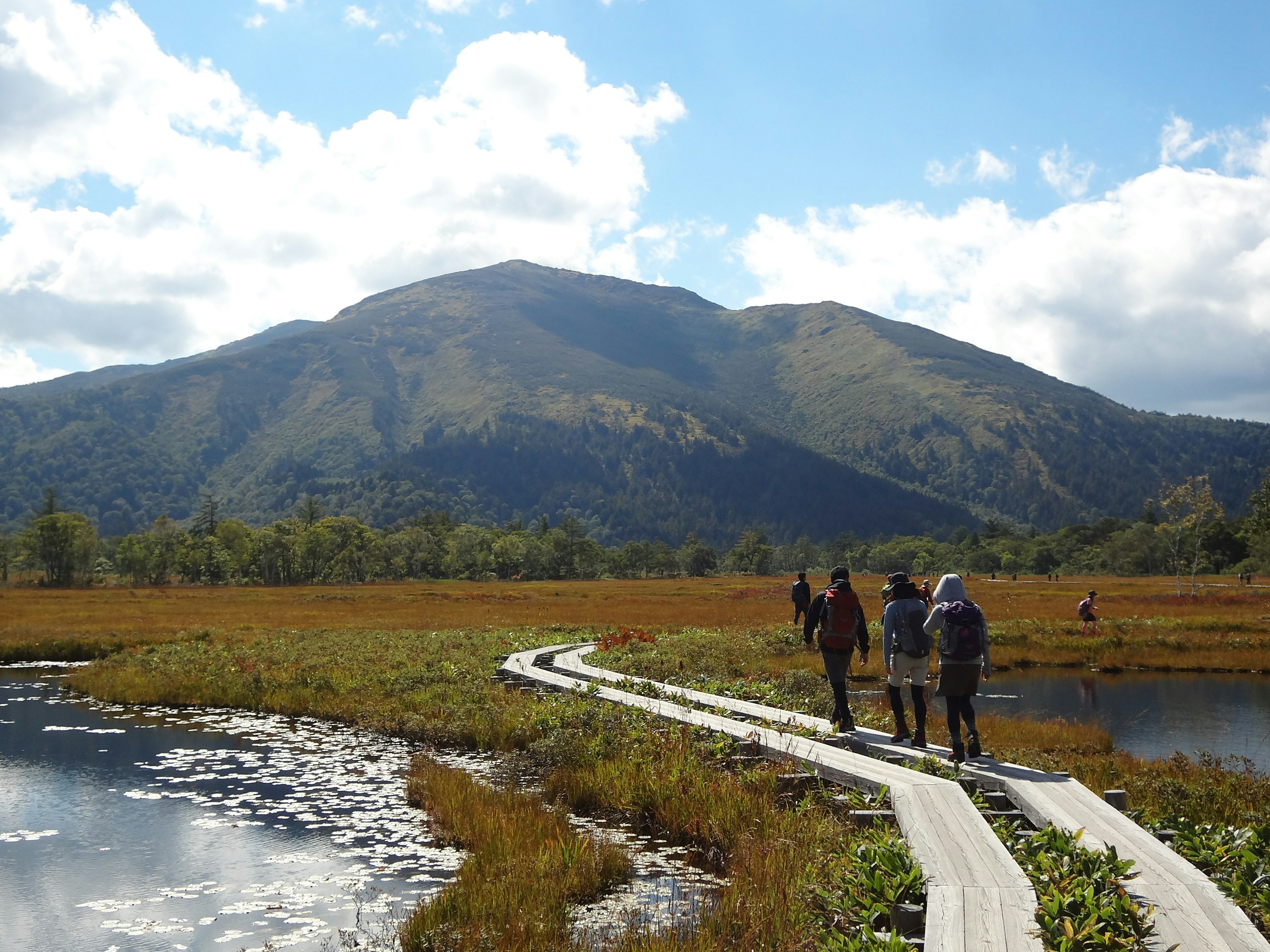 People walk along a wooden path that sits just above the water in a Japanese marshland