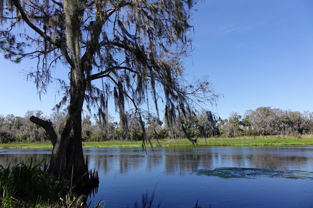 Orlando North is full of Florida eco-adventures - Lonely Planet