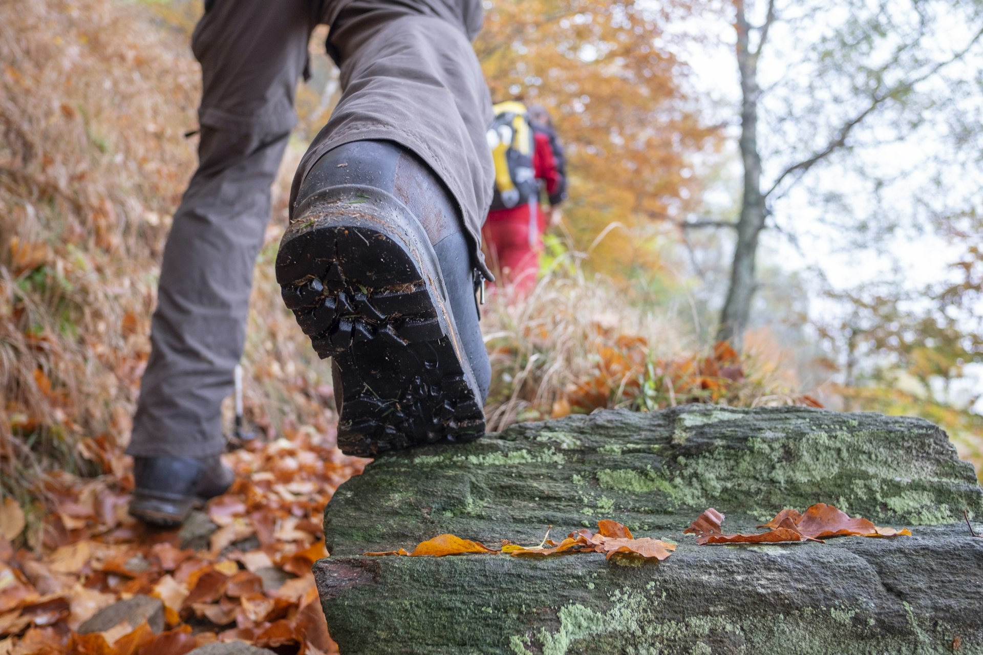 Closeup of a hiking boot walking up a trail scattered with bright orange leaves