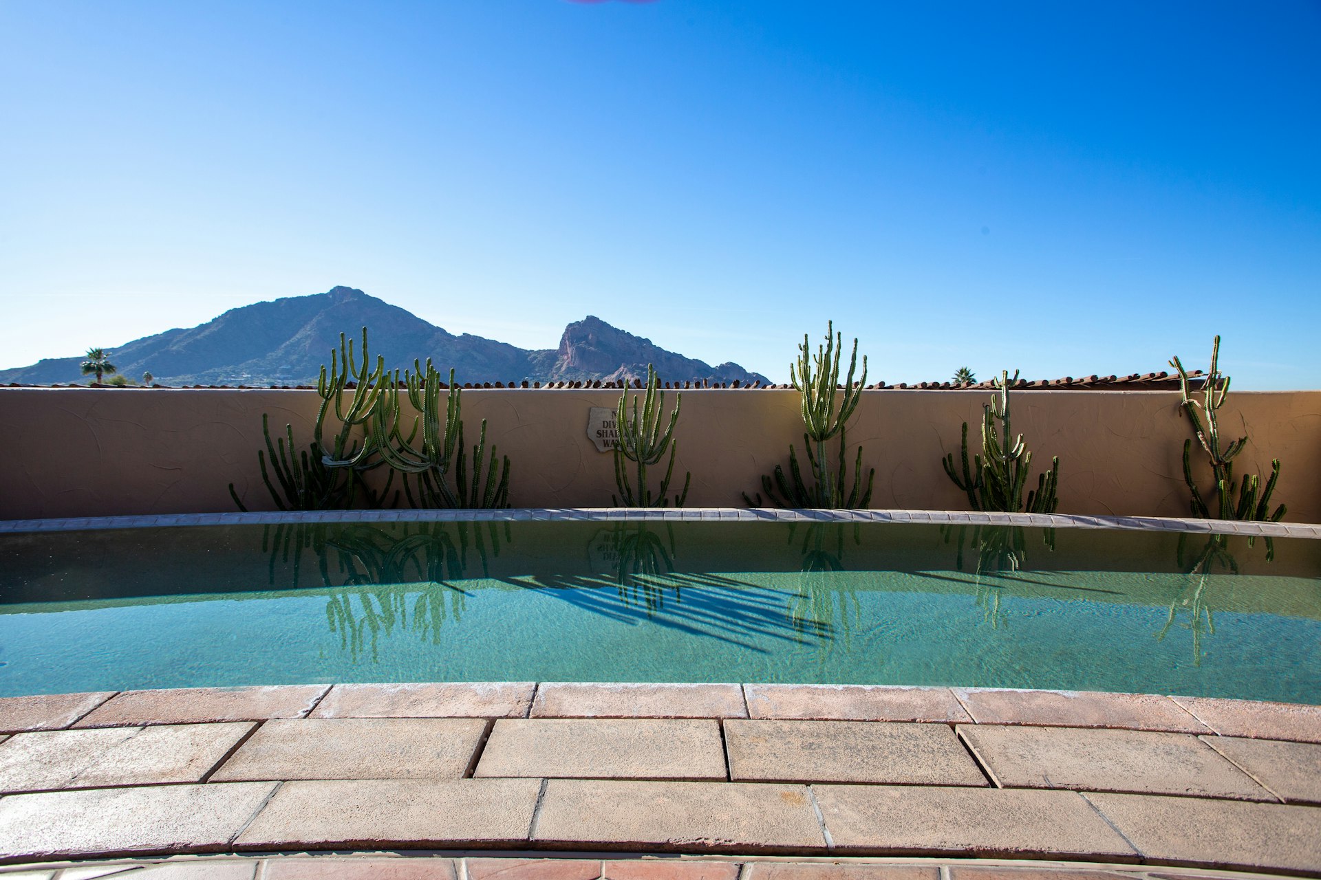 A pool along an adobe-style wall lined with cacti