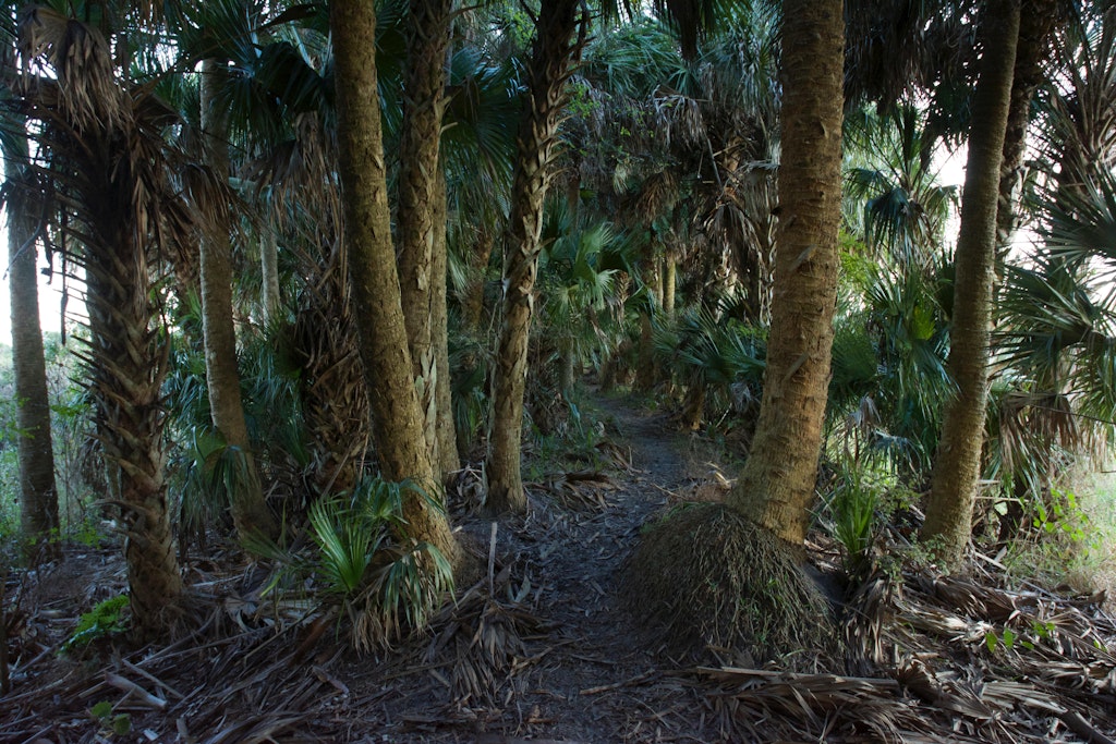 Orlando North Is Full Of Florida Eco-adventures - Lonely Planet