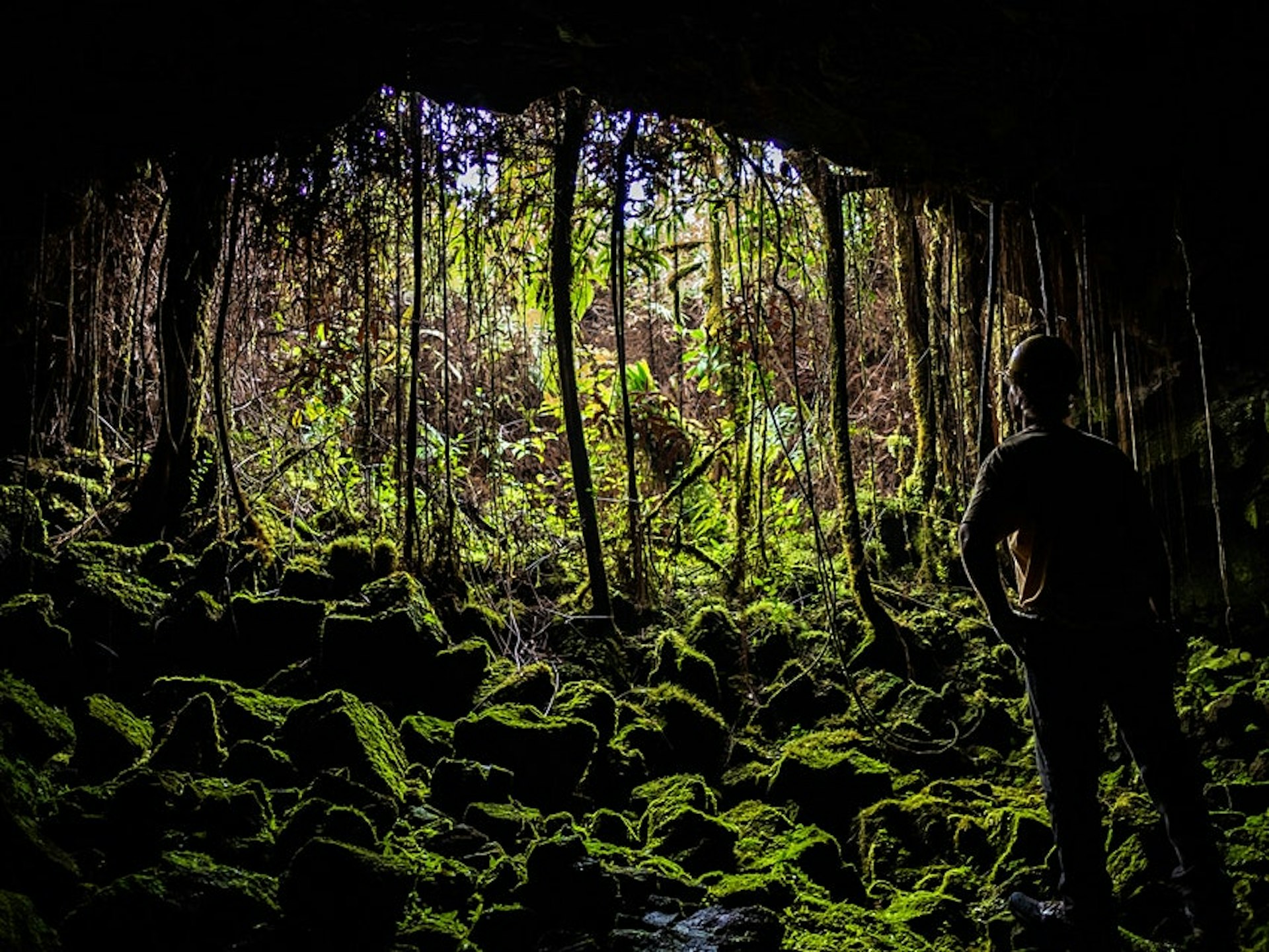 A person stands at the entrance of a lush jungle leading to the Kazamura Lava Tube