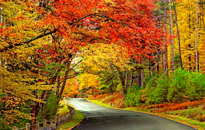 A New England fall foliage road trip is an unforgettable experience © DenisTangney Jr / Getty Images