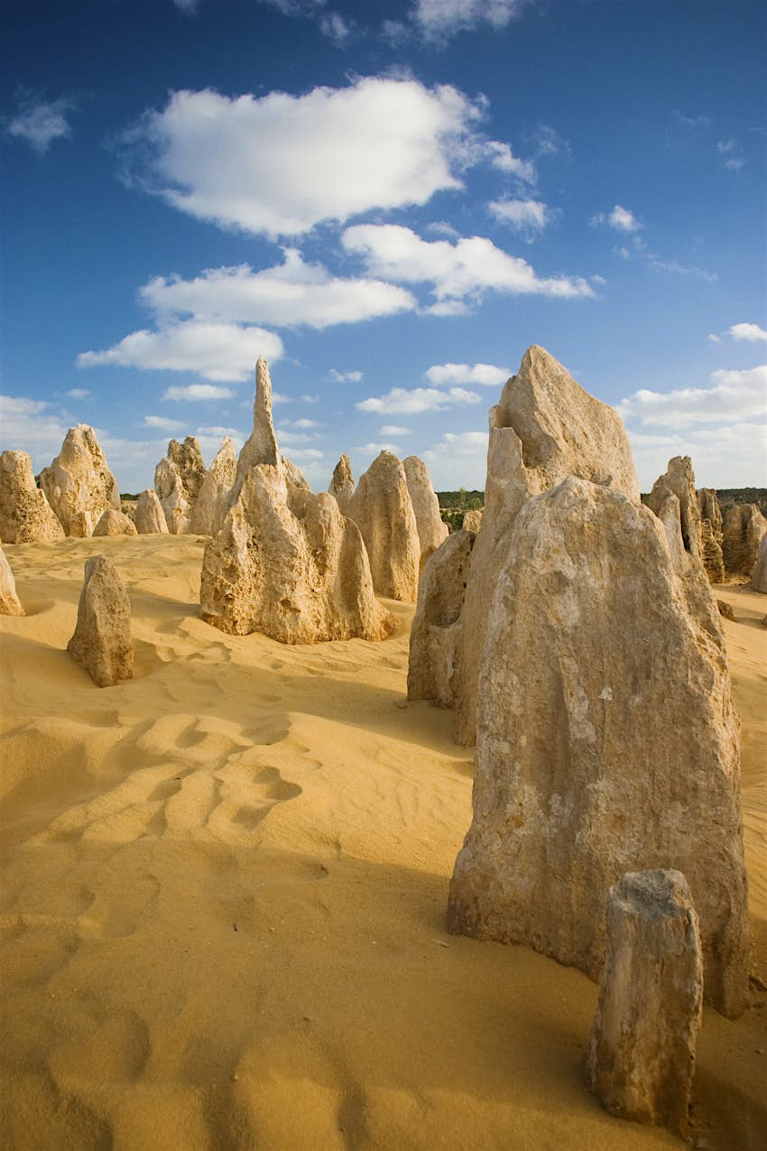 Sand pillars in Pinnacles Desert in Australia