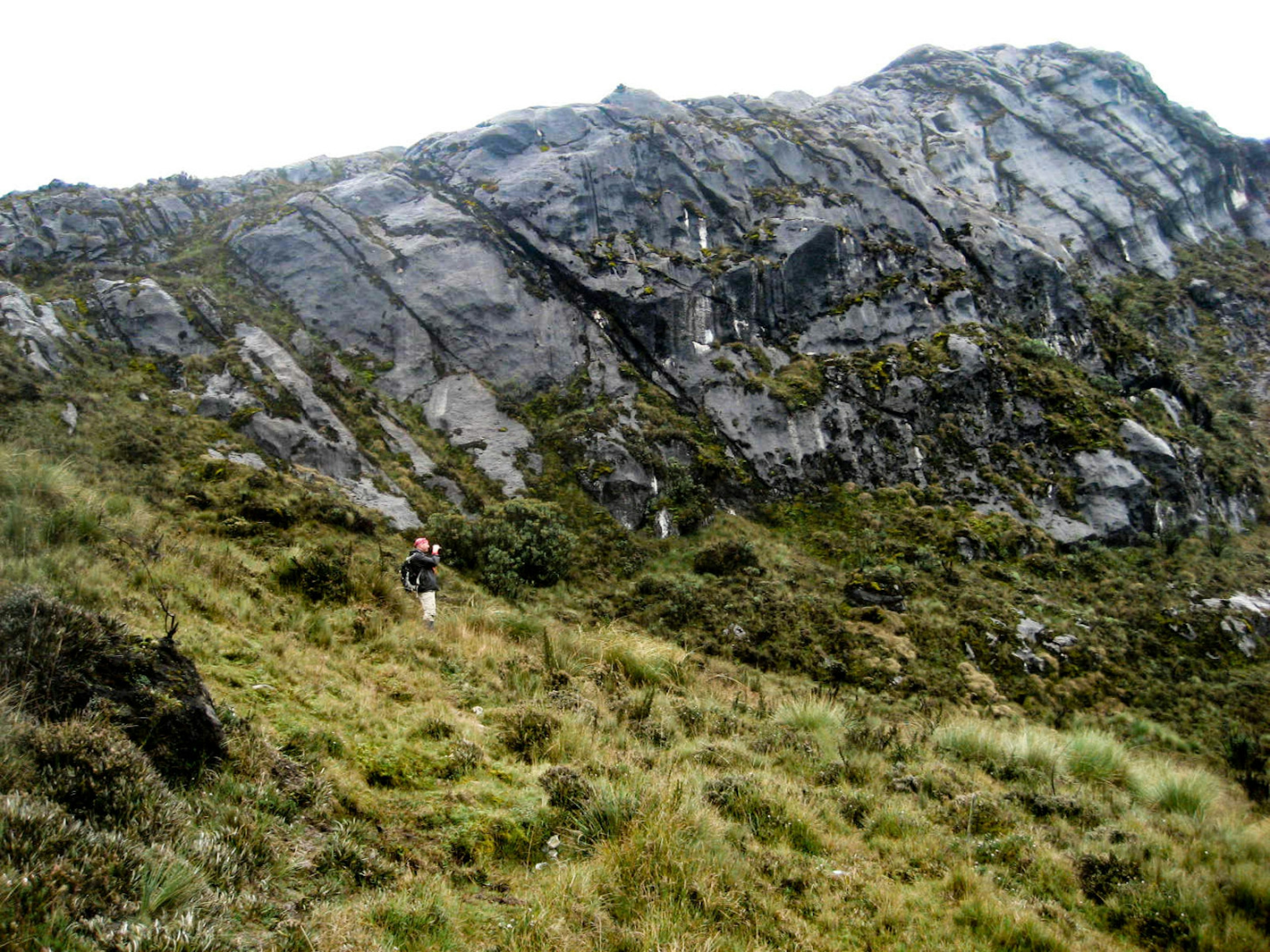 Puncak Kaya cloud forest