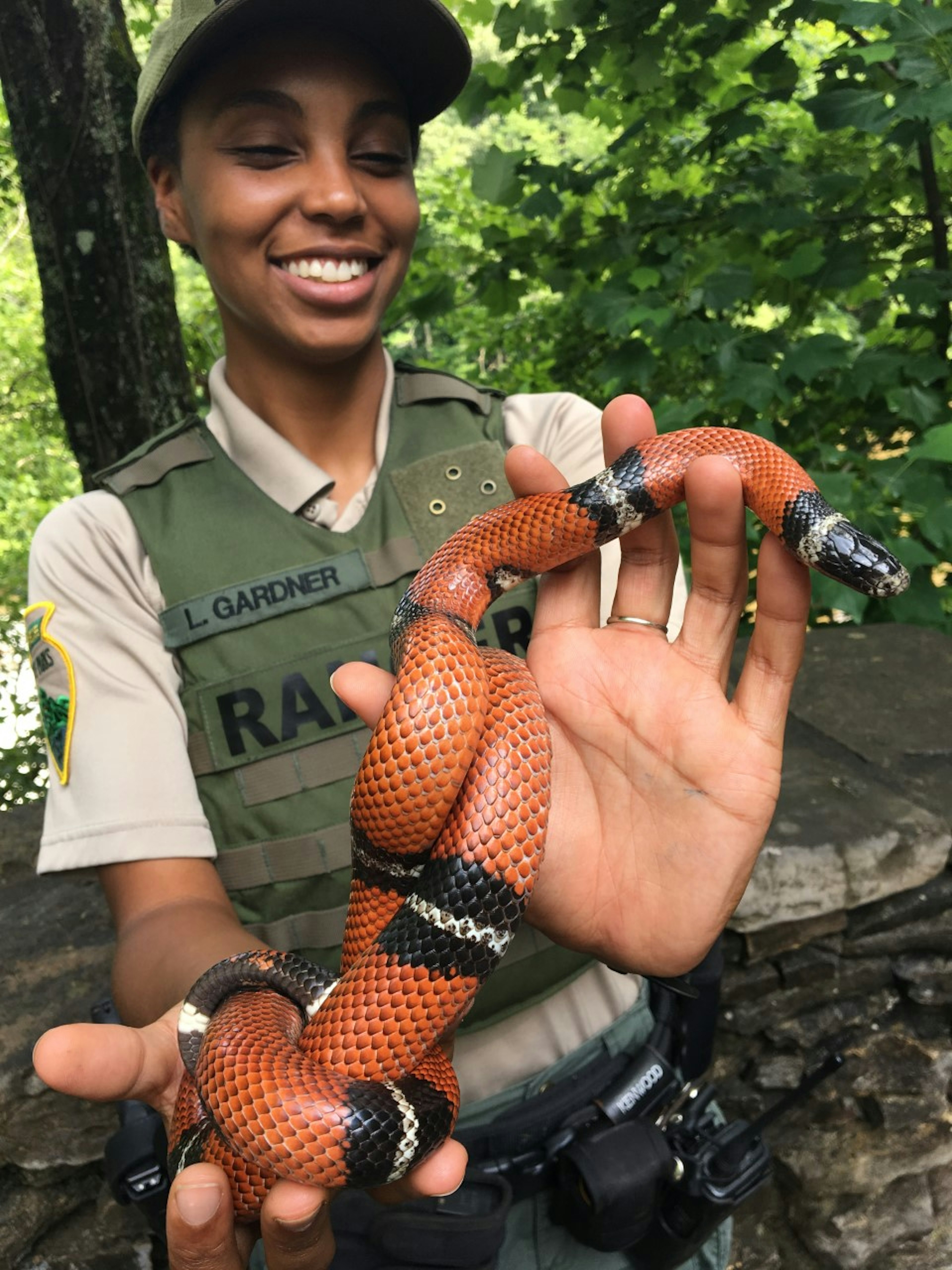 A woman smiles at the camera holding an orange, black and white milk snake