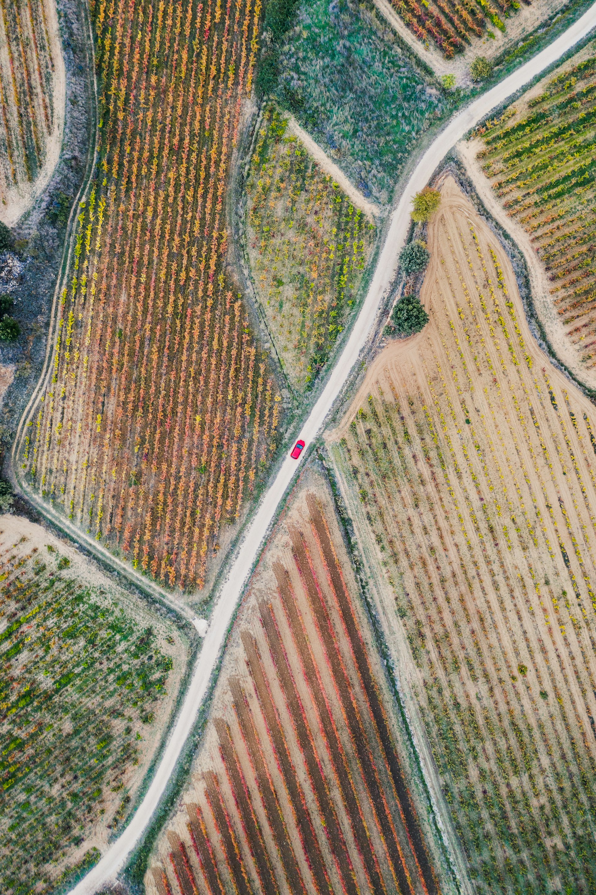 Aerial shot of a red car on a country road surrounded by vineyards in Spain
