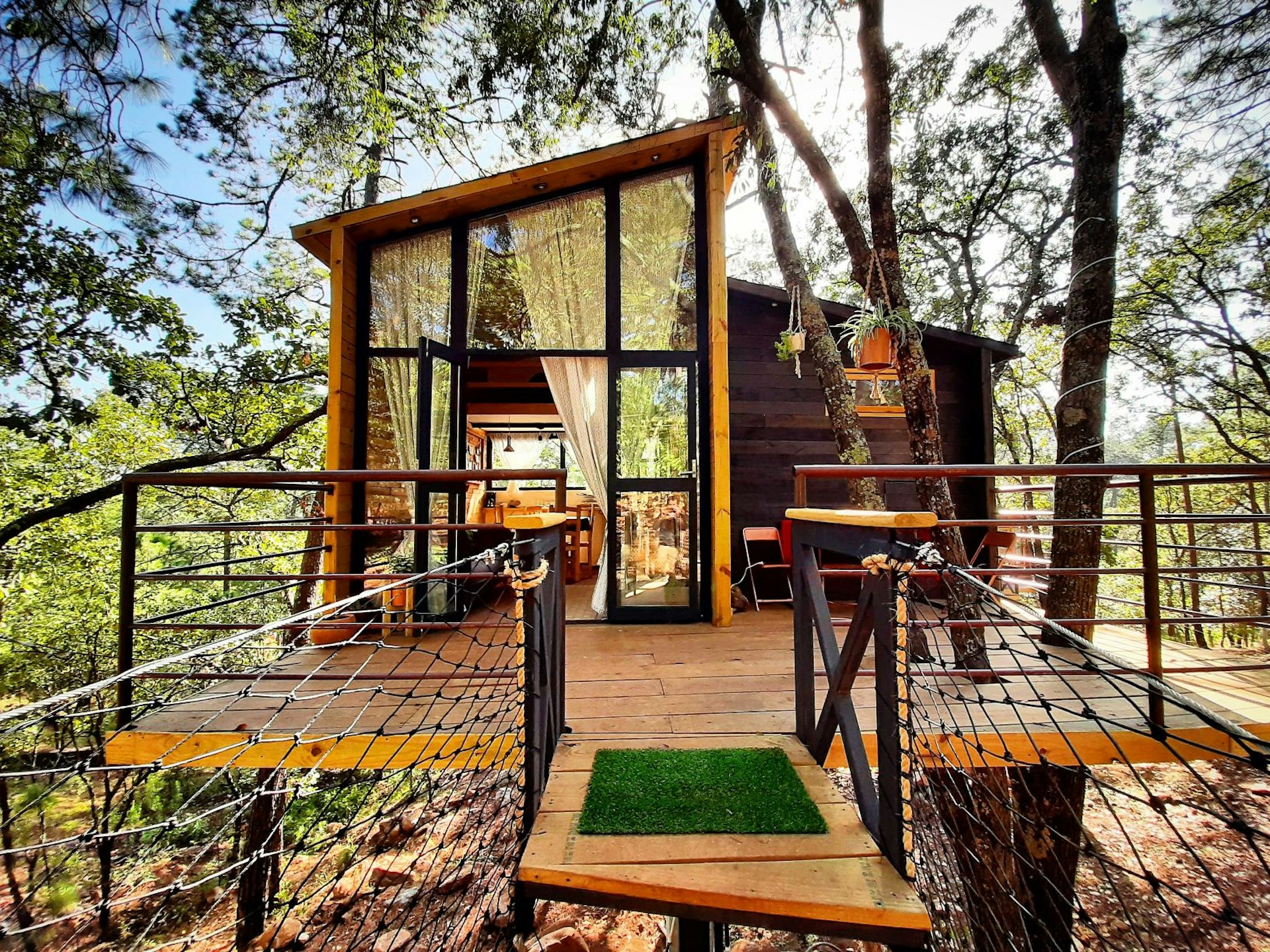 A picture of the treehouse and the access walkway