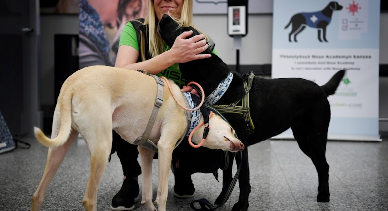 The coronavirus sniffer dogs named Kössi (L) and Miina cuddle with trainer Susanna Paavilainen at the Helsinki airport in Vantaa, Finland where they are trained to detect the Covid-19 from the arriving passengers, on September 22, 2020. (Photo by Antti Aimo-Koivisto / Lehtikuva / AFP) / Finland OUT (Photo by ANTTI AIMO-KOIVISTO/Lehtikuva/AFP via Getty Images)