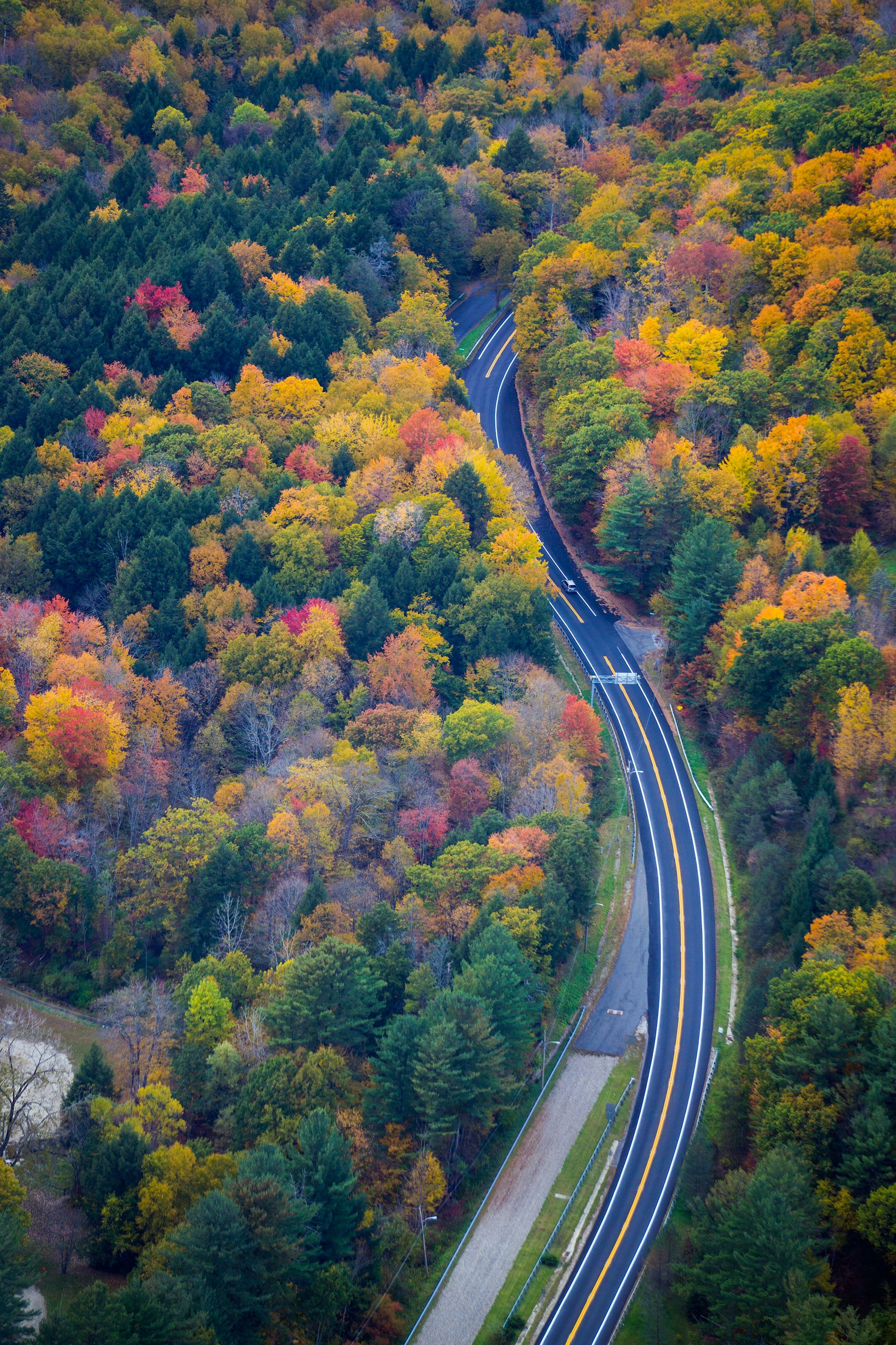 Fall Foliage