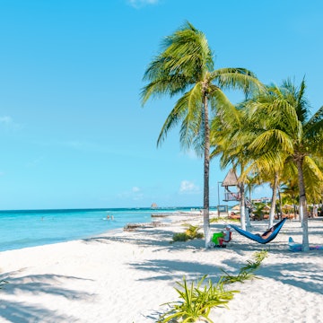 October 14, 2017: White sand and palm trees at Playa Norte on Isla Mujeres.