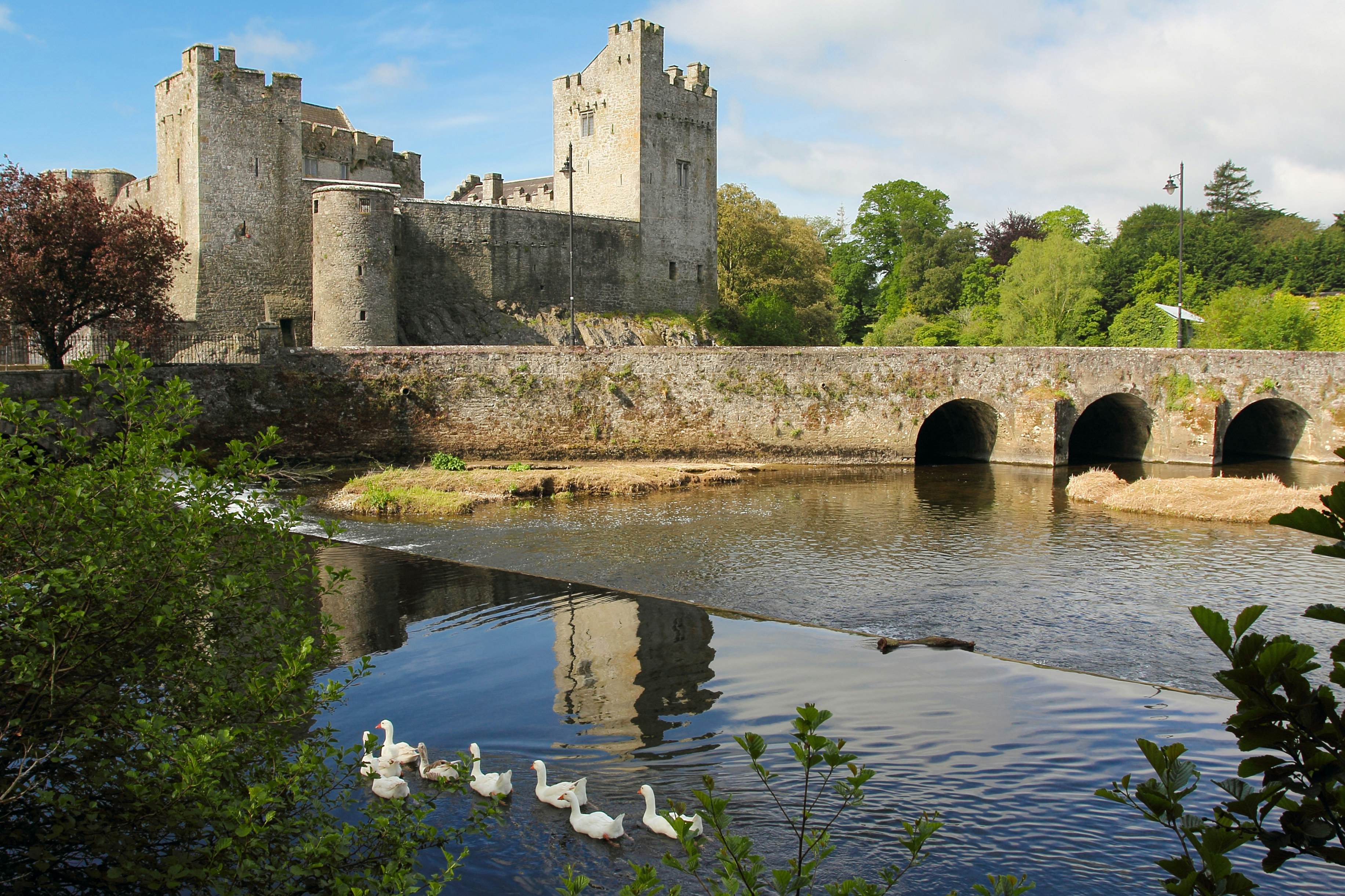 These 11 Irish Castles Showcase The Dramatic Beauty Of Historic Ireland ...