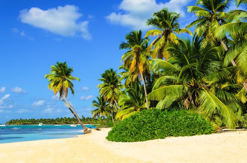 Dominican Republic Travel Lonely Planet Caribbean