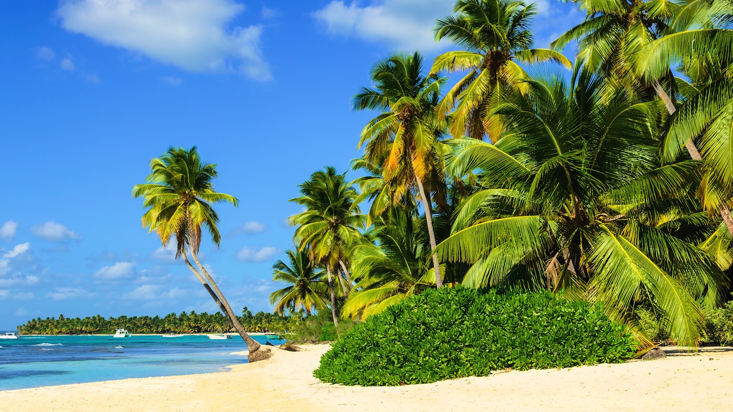 Palm trees and white sand at a tropical beach.