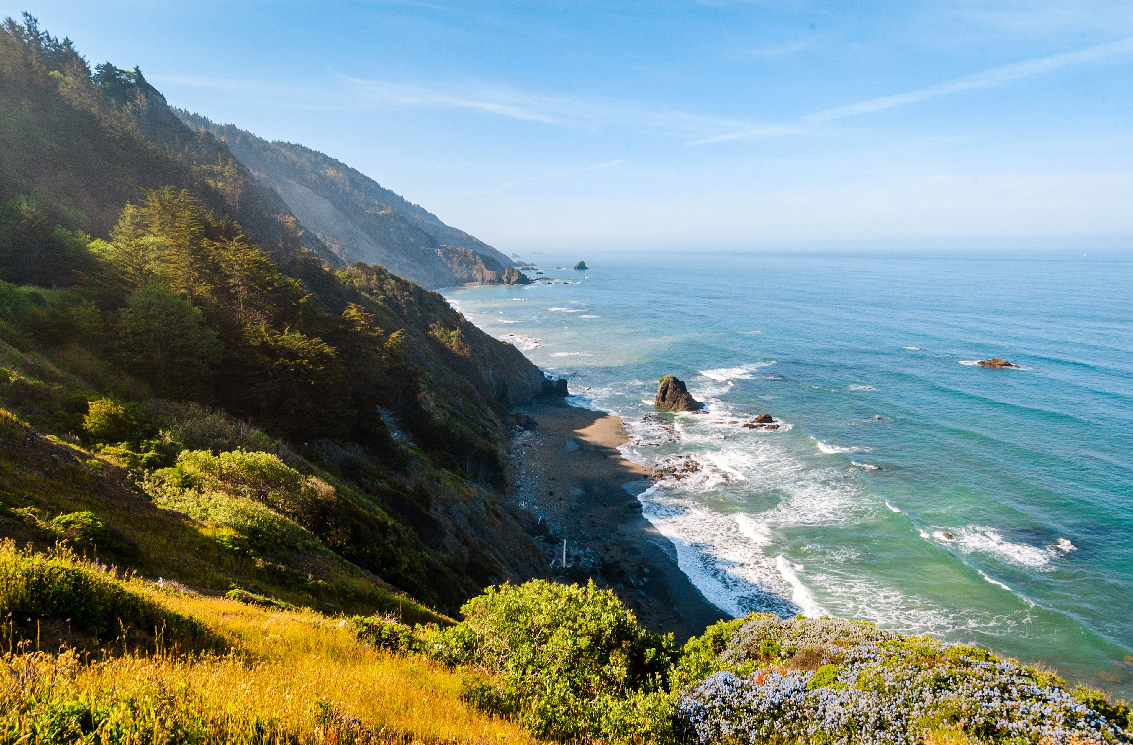 Scenic View of Coastline at Redwood National Park