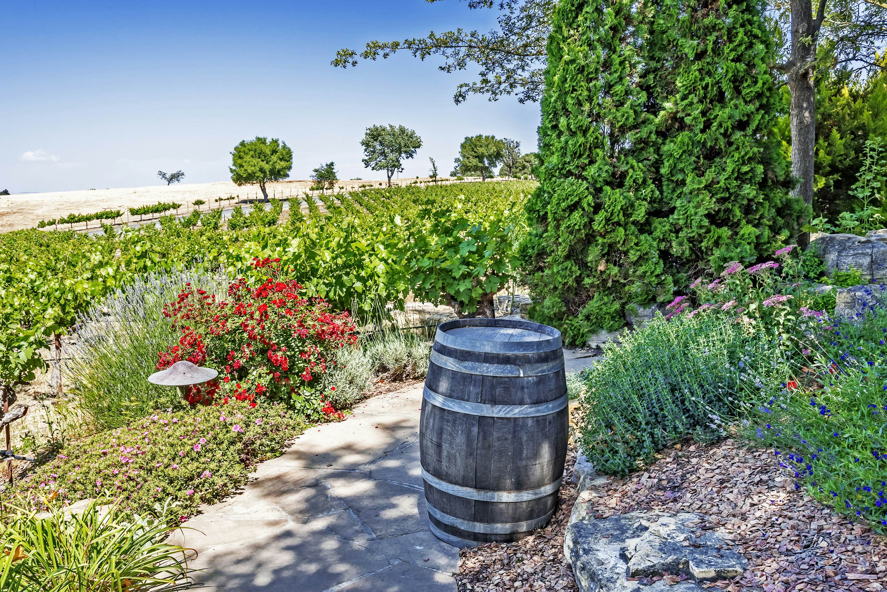 Here's Where To Go To Visit The Best Wineries In The World - Lonely Planet